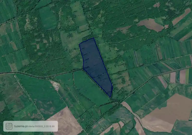 Działka na sprzedaż Sepno