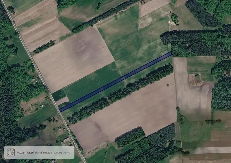 Działka na sprzedaż Borzykówka