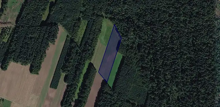 Działka na sprzedaż - ŚWIĘTOKRZYSKIE, włoszczowski, Włoszczowa, Bebelno Kolonia 269