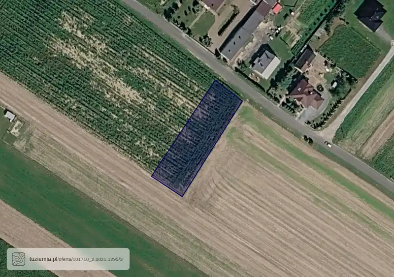 Działka na sprzedaż Wierzchlas