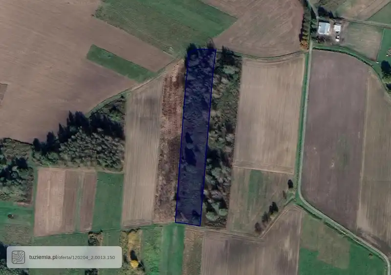 Działka na sprzedaż Wola Dębińska