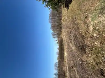 Zdjęcie 7