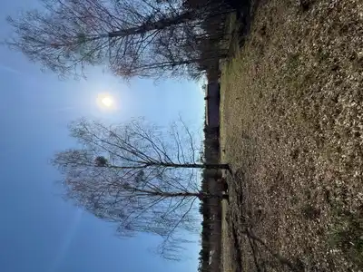 Zdjęcie 9