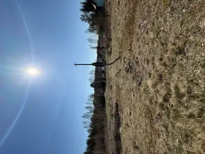 Zdjęcie 4