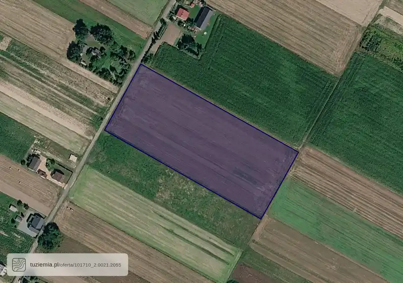 Działka na sprzedaż Wierzchlas