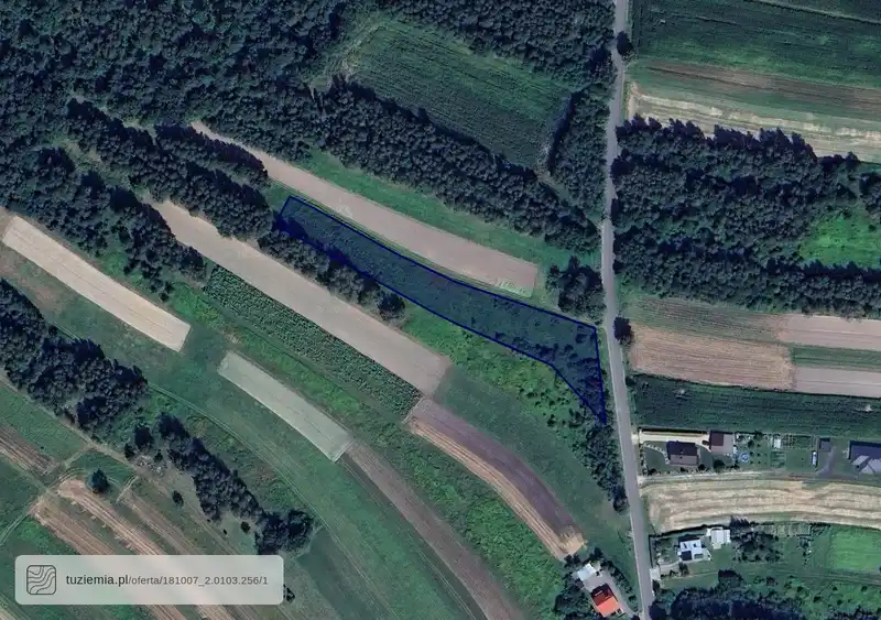 Działka na sprzedaż Żołynia