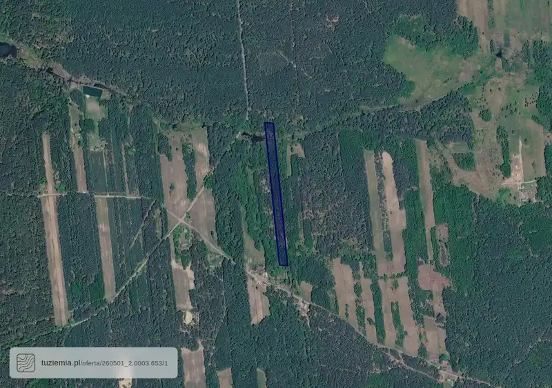 Działka na sprzedaż Kolonia Czermno