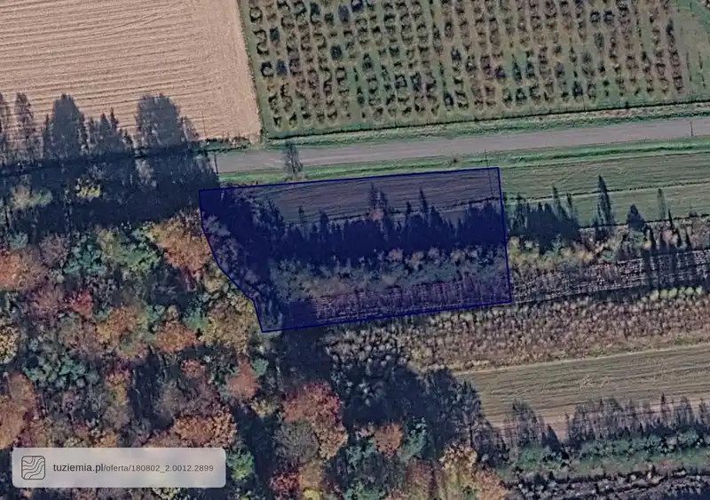 Działka na sprzedaż Grodzisko Dolne