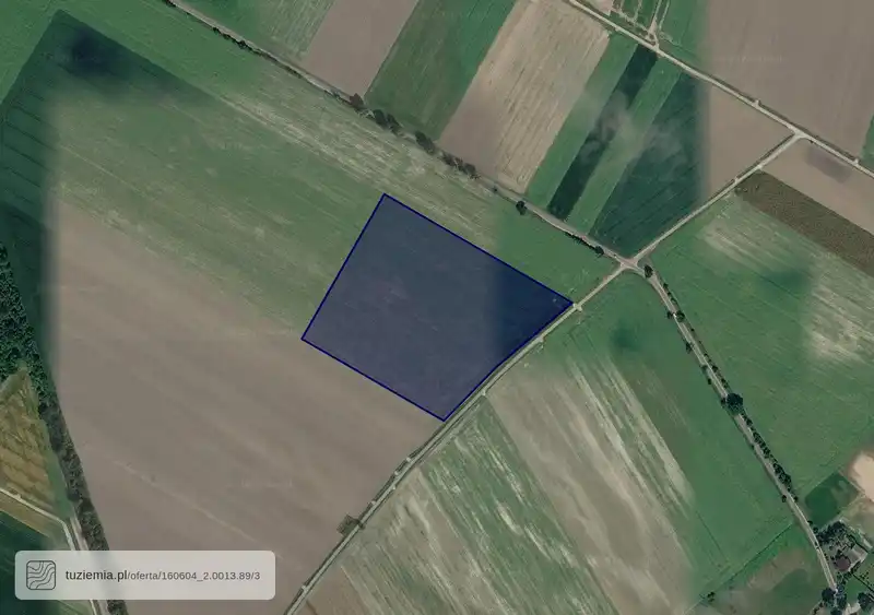 Działka na sprzedaż Dąbrowa