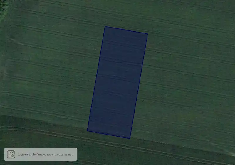 Działka na sprzedaż Pełcznica