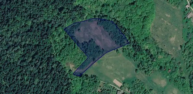 Działka na sprzedaż - PODKARPACKIE, jasielski, Skołyszyn, Bączal Górny 459