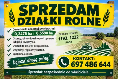 Zdjęcie 5