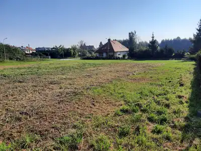 Zdjęcie 10