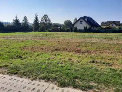 Zdjęcie 8