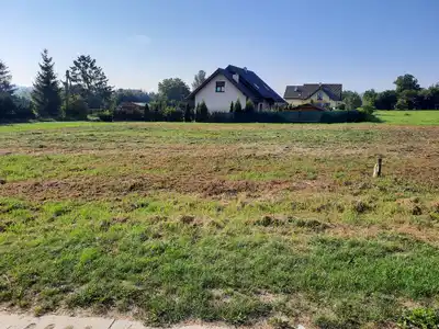 Zdjęcie 7
