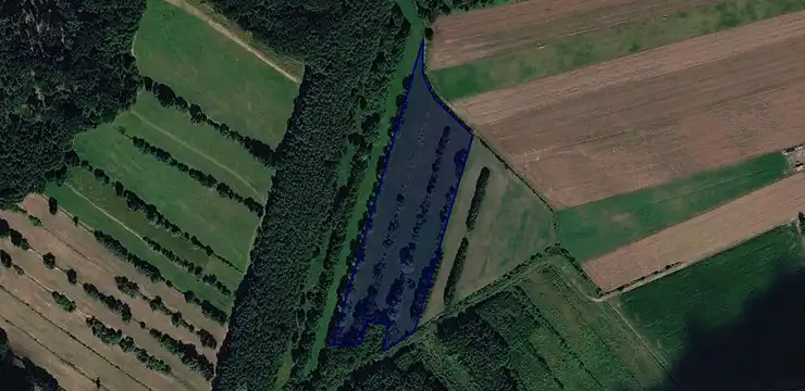 Działka na sprzedaż - ZACHODNIOPOMORSKIE, kamieński, Golczewo, Wołowiec 103/1