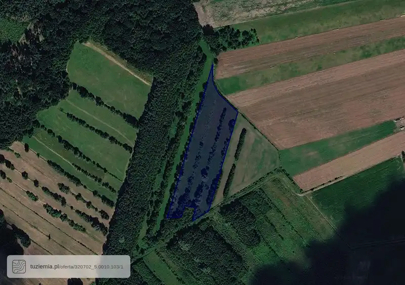 Działka na sprzedaż Wołowiec