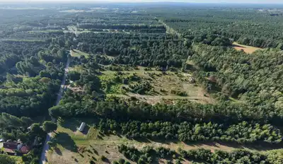 Zdjęcie 2