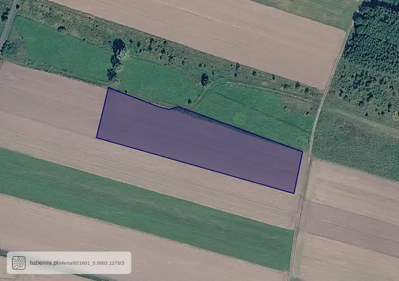Działka na sprzedaż Chocianowiec