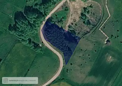 Zdjęcie 3