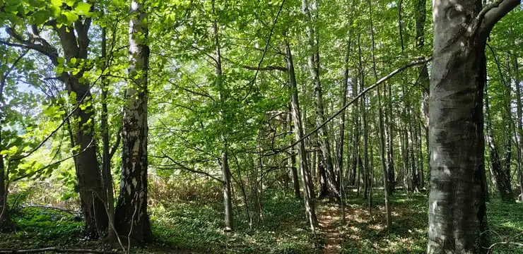 Działka na sprzedaż - ŚLĄSKIE, bielski, Jasienica, Międzyrzecze Dolne 151/1