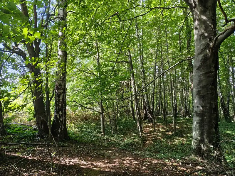 Działka na sprzedaż Międzyrzecze Dolne