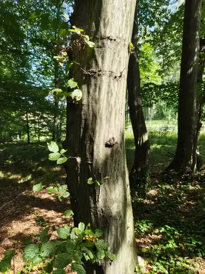 Zdjęcie 2