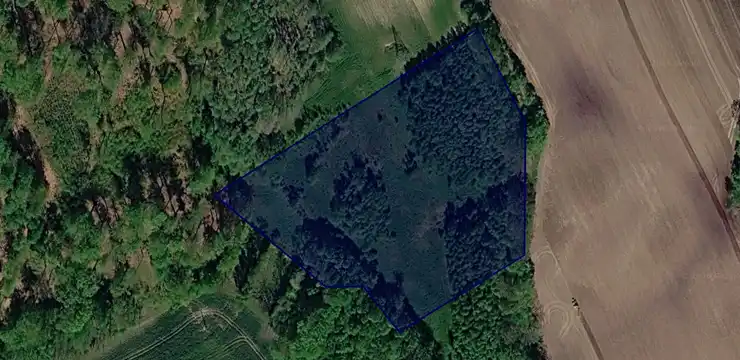 Działka na sprzedaż - ZACHODNIOPOMORSKIE, szczecinecki, Borne Sulinowo, Juchowo 77/1