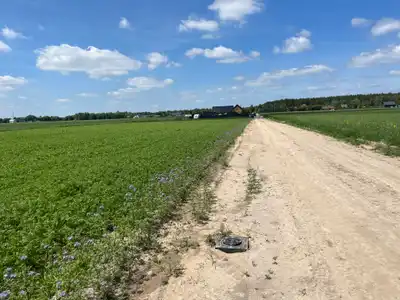Zdjęcie 3