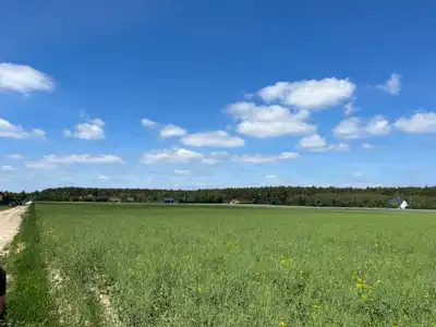 Zdjęcie 4