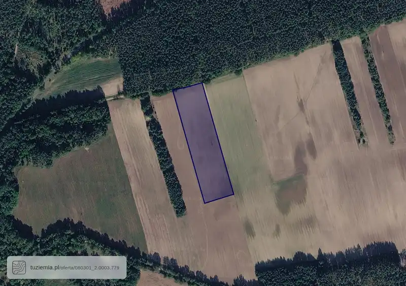 Działka na sprzedaż Bledzew