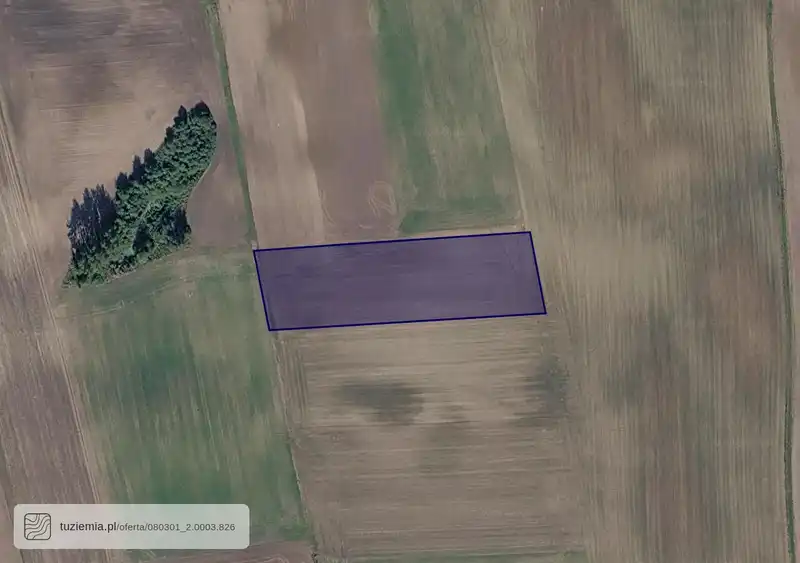 Działka na sprzedaż Bledzew