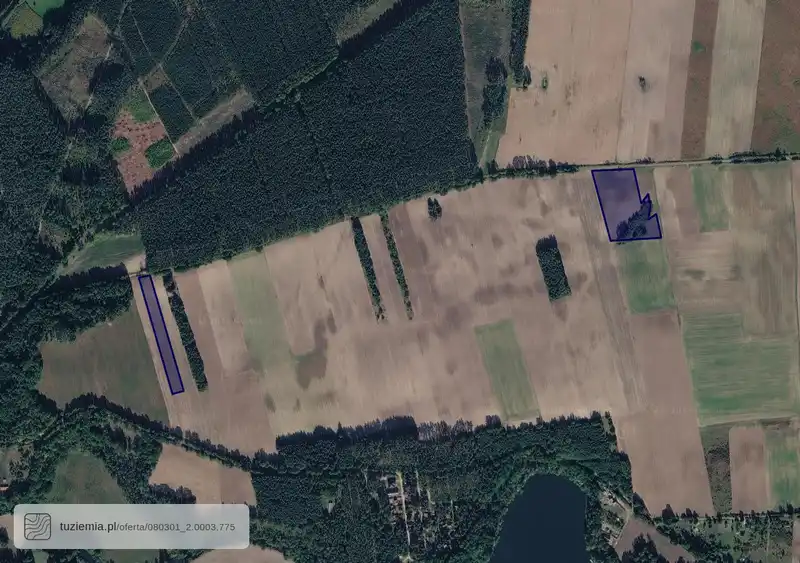 Działka na sprzedaż Bledzew