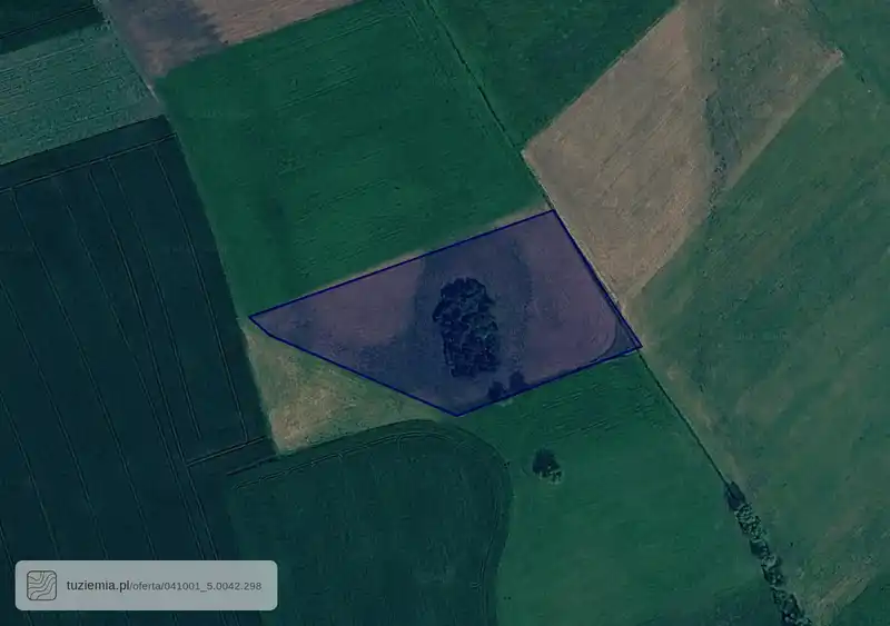 Działka na sprzedaż Żarczyn