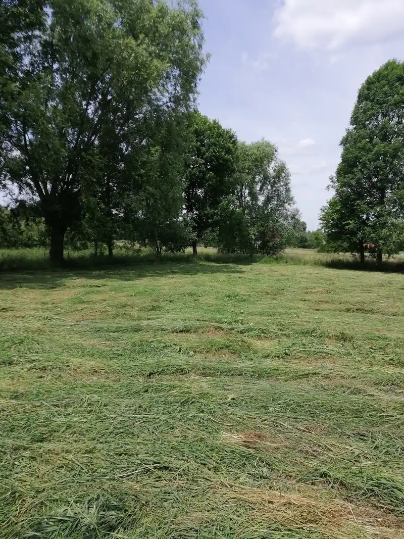 Działka na sprzedaż Ropczyce-Witkowice