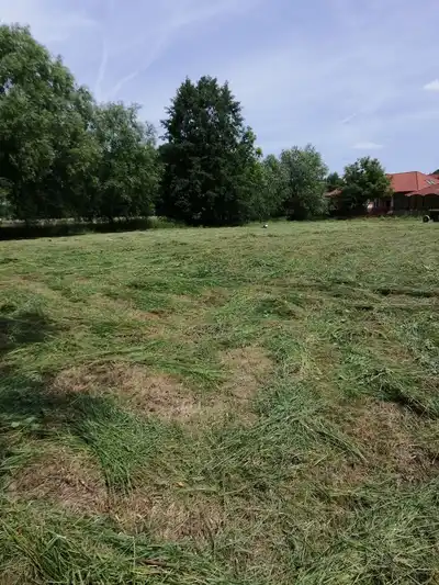 Zdjęcie 4