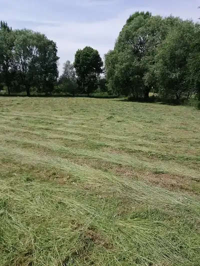 Zdjęcie 3